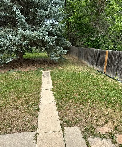 Back yard facing North.