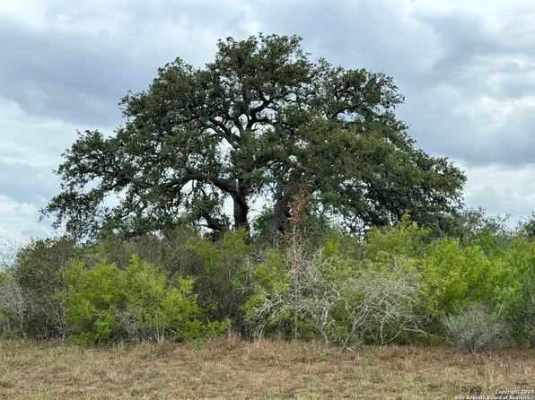 0 County Road 115, Mineral, TX 78102
