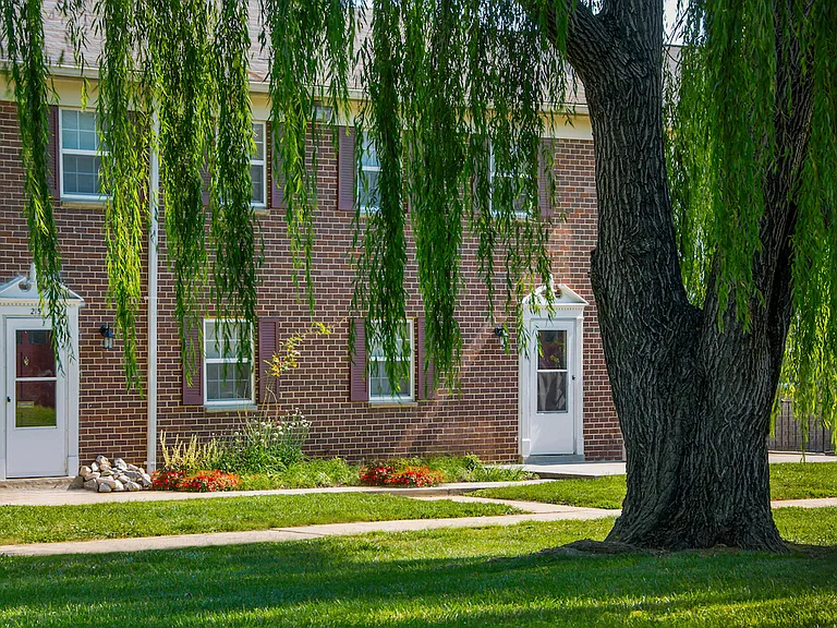Deertree — Photo 10