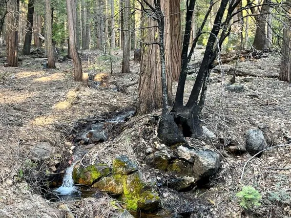 2-54 Iroquois Dr, Arnold, CA 95223