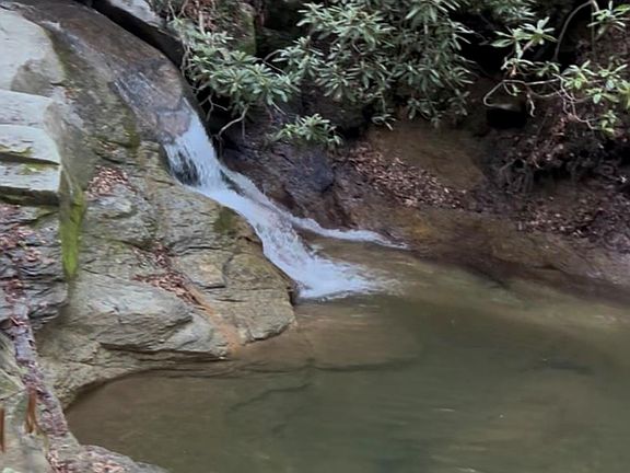 2nd image of 204 Rush Creek Rd