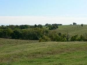 5th image of Katydid Rd