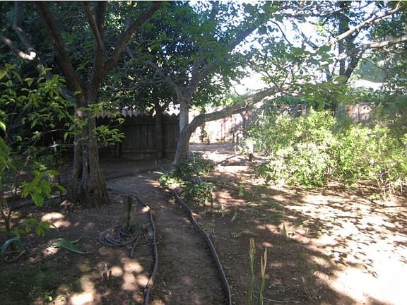 Rear Yard