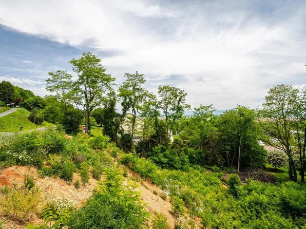 Valley View Dr, Mount Sidney, VA 24467