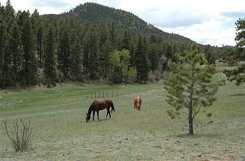 Pasture & Views