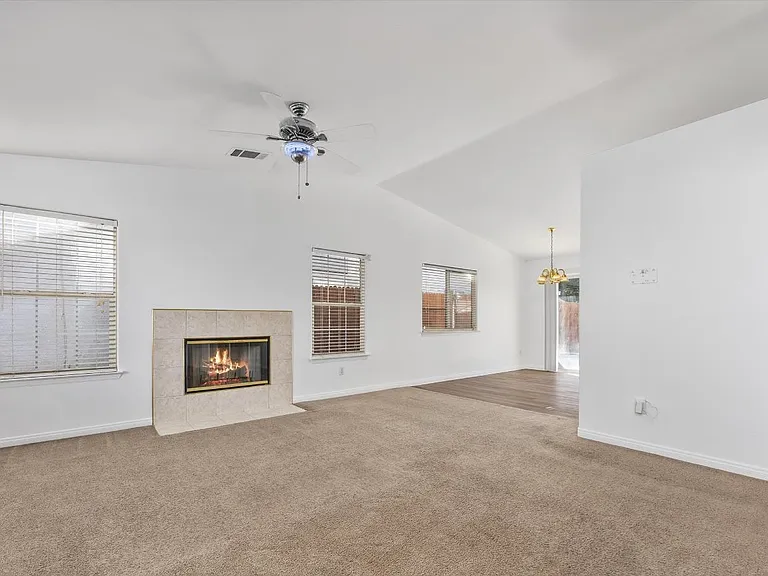 3921 White Sands Dr — Photo 9