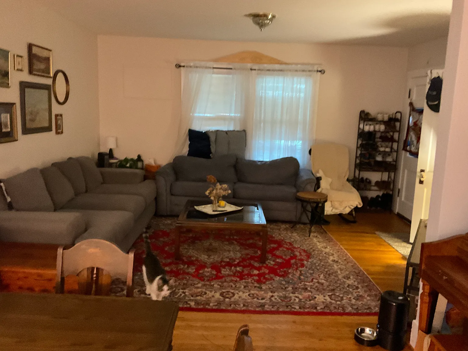 2 bed, $1,200 — Photo 3
