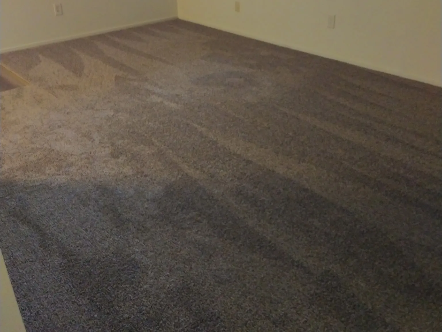1 bed, 650 sqft, $1,495 — Photo 4