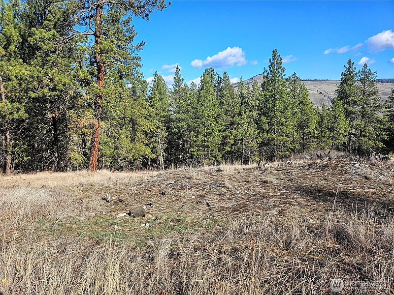 3rd image of 380 Lot Chopaka TBD Road