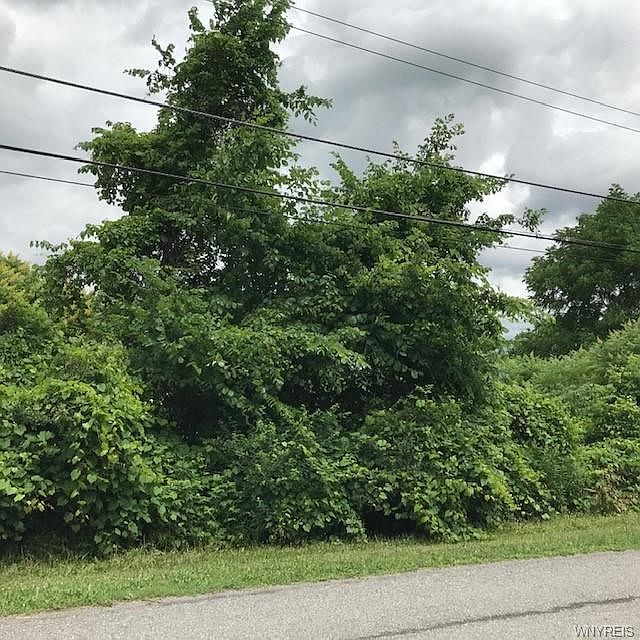 2nd image of 12721 Reinhardt Rd E
