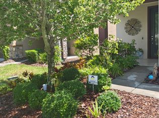 6402 Yellow Buckeye Dr, Riverview, FL 33578