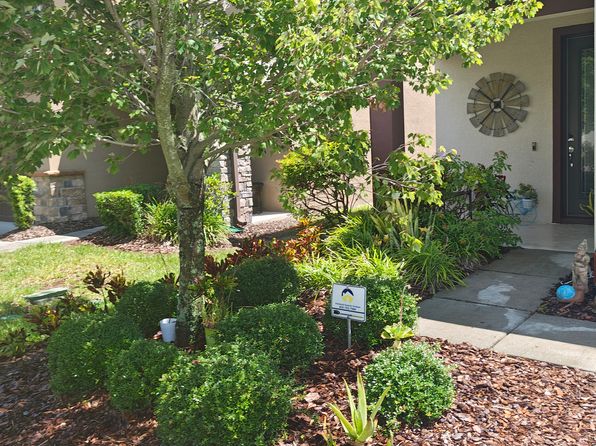 6402 Yellow Buckeye Dr