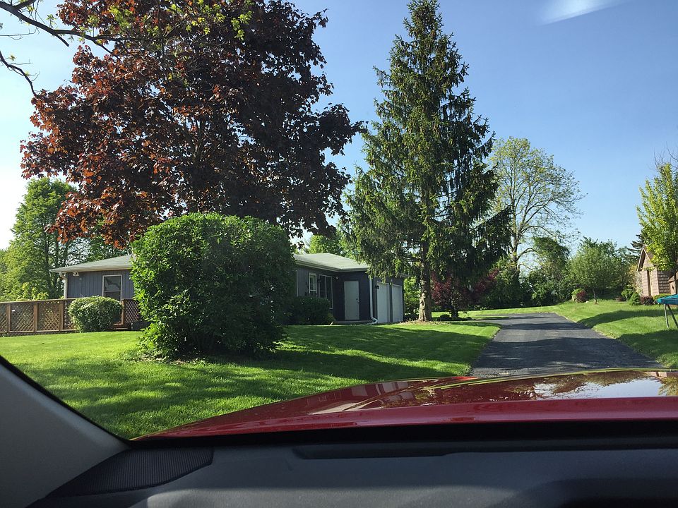 From the street on driveway