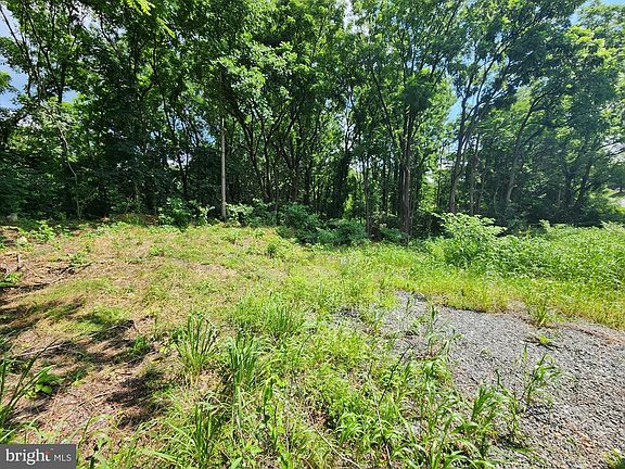 3rd image of 0 Brownsville Rd