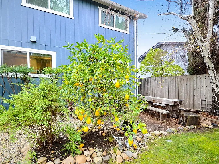 357 San Marin Dr — Photo 25