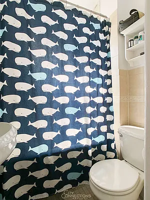 Rented by City Connections Realty | media 22