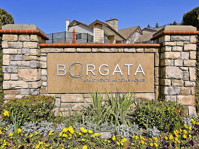 Borgata Apartments & Townhomes — Photo 9