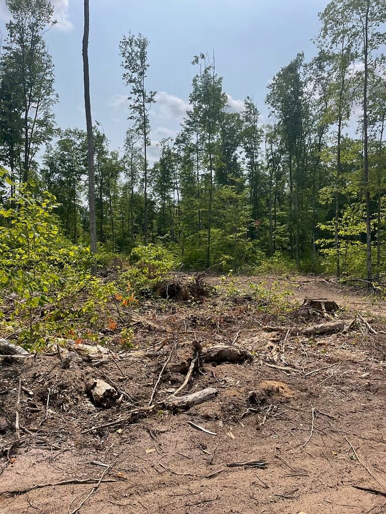 Isabell Trl, Wolverine, MI 49799 Zillow