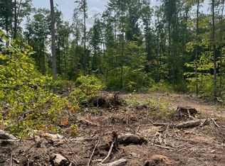 Isabell Trl, Wolverine, MI 49799