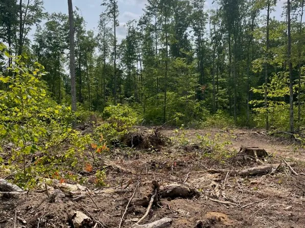 Isabell Trl, Wolverine, MI 49799