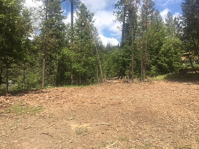 1st image of Par 2 Pm 694 Po Manzanita