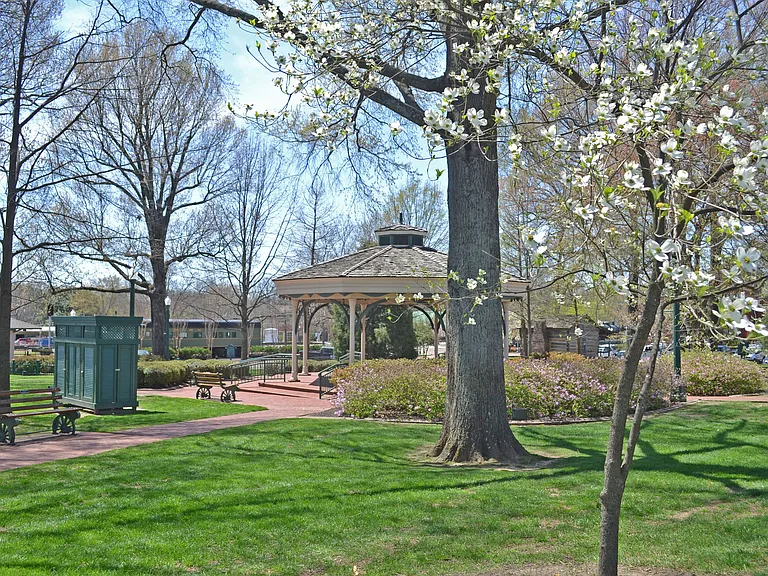 Carrington at Schilling Farms — Photo 22