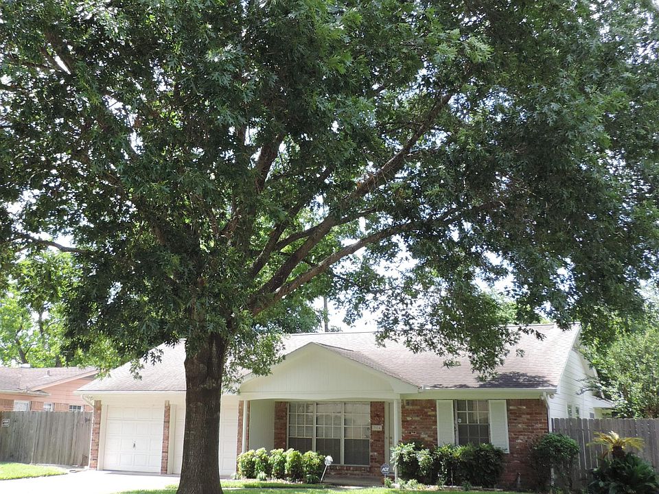 Large Established Tree in Front Yard