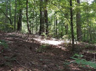 LT Westwind Dr, Ellijay, GA 30540