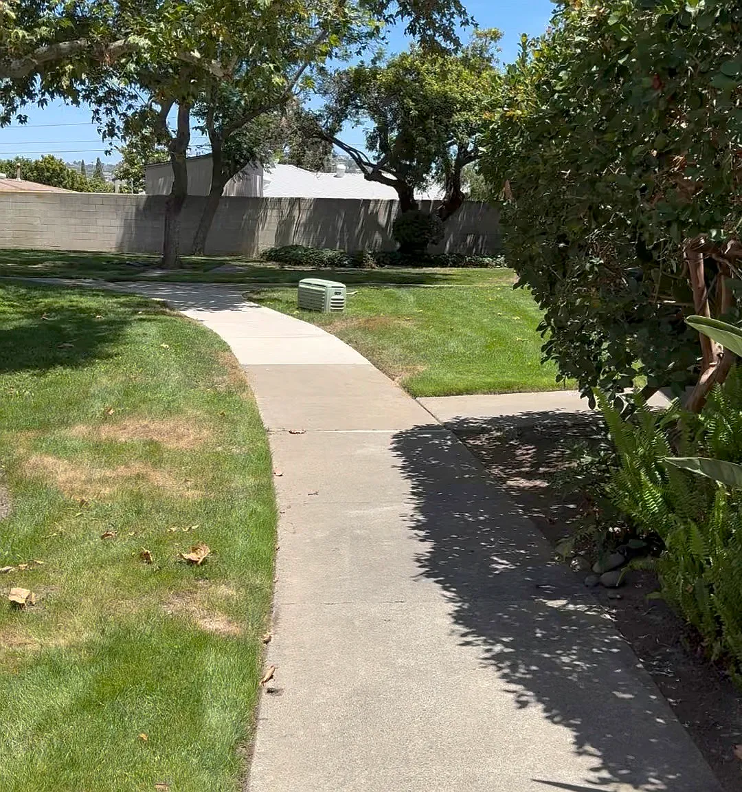 2 bed, 1.5 bath, 1050 sqft, $3,100 — Photo 4