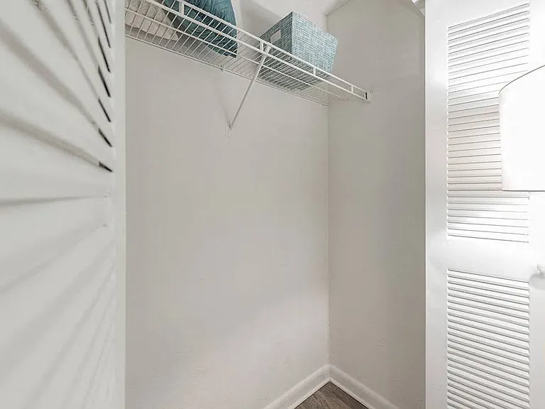 The Pointe at Carrollwood — Photo 14