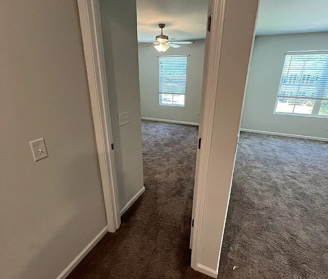 44 Blackberry Cir — Photo 29