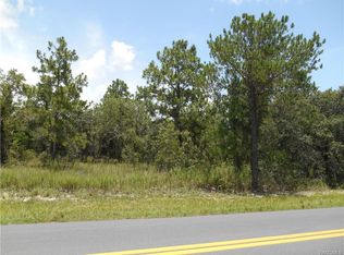 5139 W Meadow St, Homosassa, FL 34446