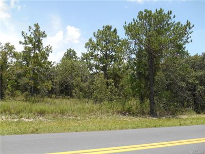 5139 W Meadow St, Homosassa, FL, 34446