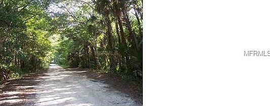 1st image of Paige Ave