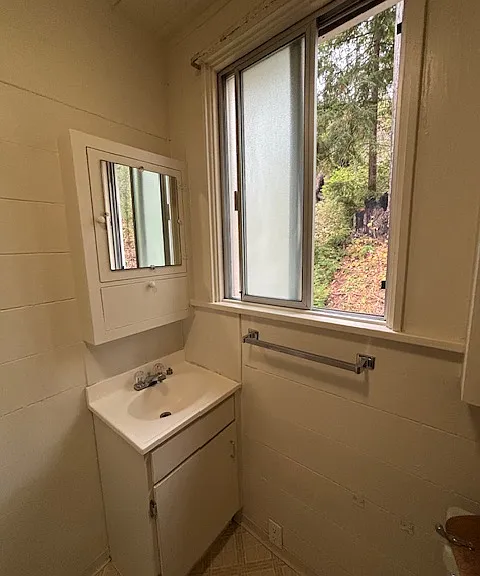 Bathroom vanity