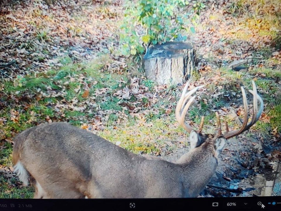 1st image of 890 South Independence Road