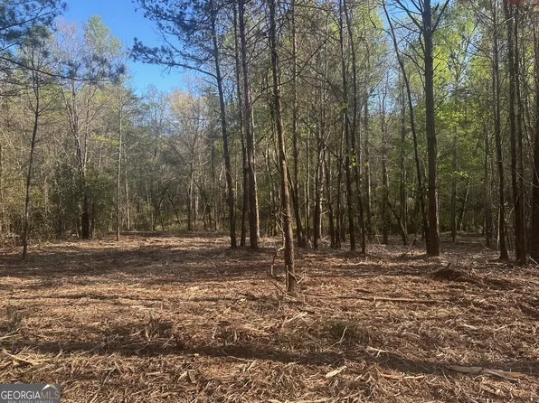 0 Lee Mashburn Rd, Dahlonega, GA 30533