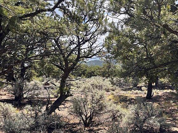 2nd image of 1134 Jorgulesco Road