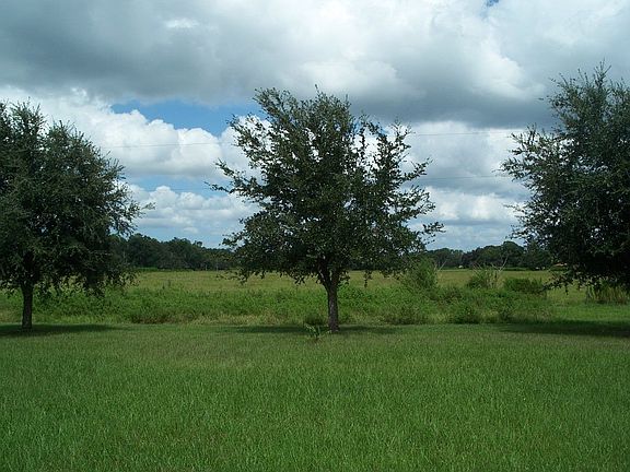 View from Backyard