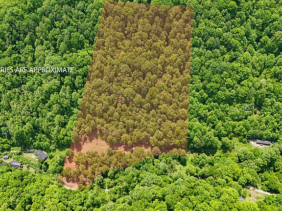 2nd image of 237 Sams Branch Rd