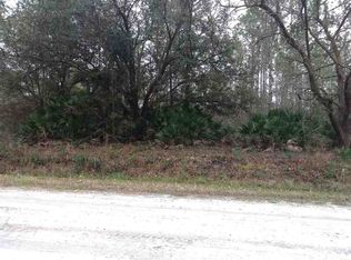 10525 Kirchherr Ave, Hastings, FL 32145