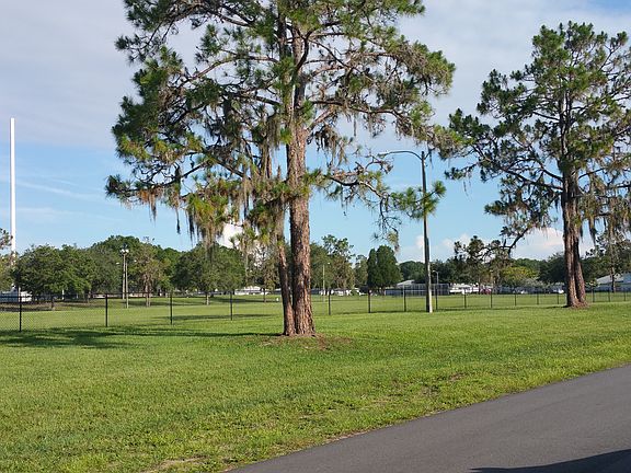 another view from front yard