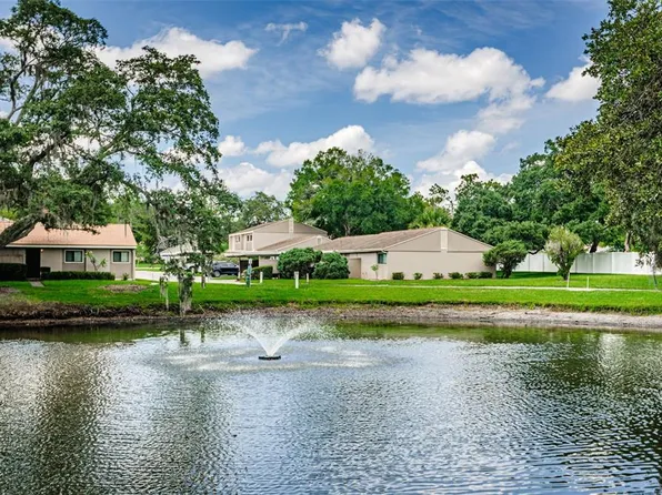 8610 Lake Isle Dr, Temple Terrace, FL 33637