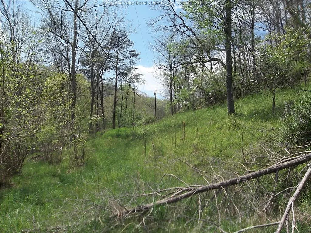 4736 Charleston Rd photo 1