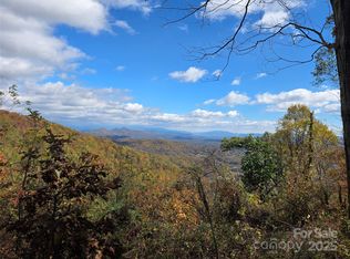 9999 Blue Ridge View Dr, Canton, NC 28716