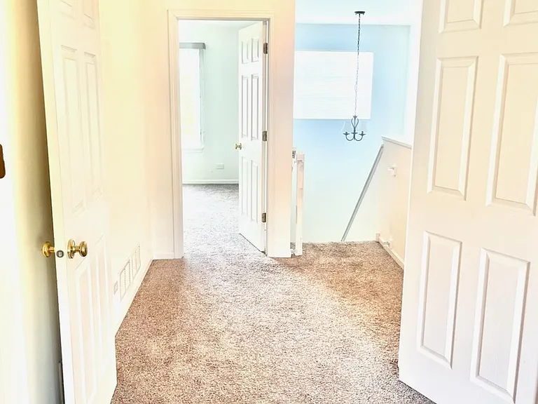 4323 Savoy Ln #4323 — Photo 5