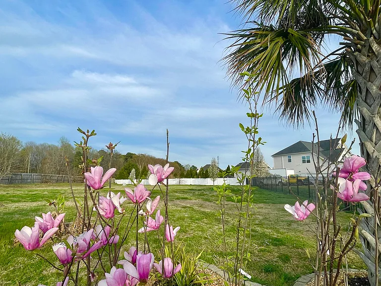 6640 Wildlife Ln — Photo 6