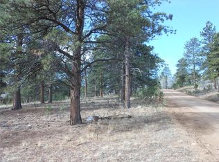 36 Harris St, Bailey, CO 80421