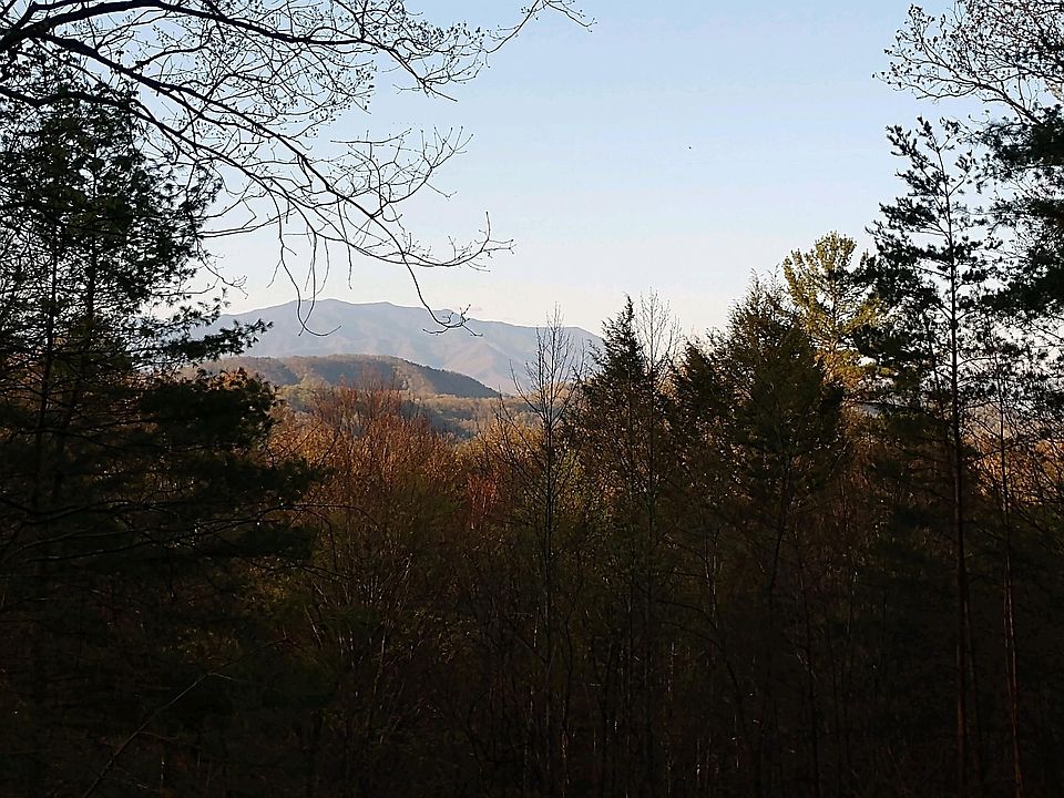 2nd image of Tall Oak Way