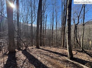 TBD Bald Mountain Road, West Jefferson, NC 28694